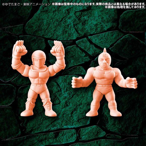 Kinnikuman Kinkeshi Premium/Latest Issue