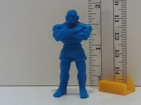 Street Fighter 2 Keshi