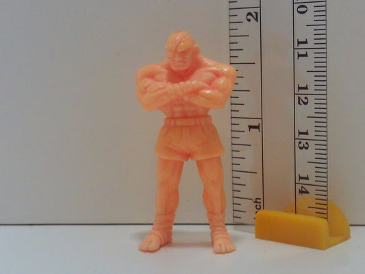 Street Fighter 2 Keshi